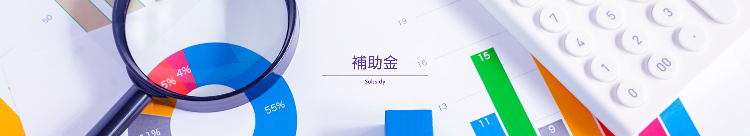 補助金ページ